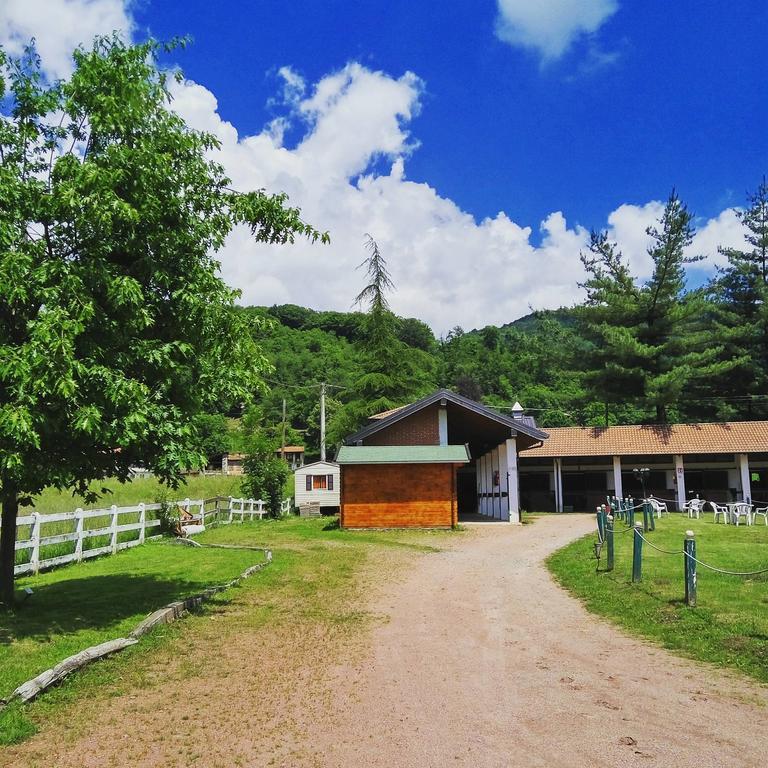 Monteoro Horse Village Ameno Ngoại thất bức ảnh