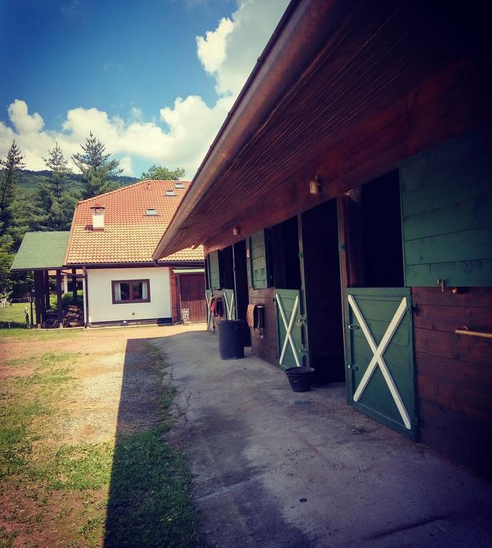 Monteoro Horse Village Ameno Ngoại thất bức ảnh